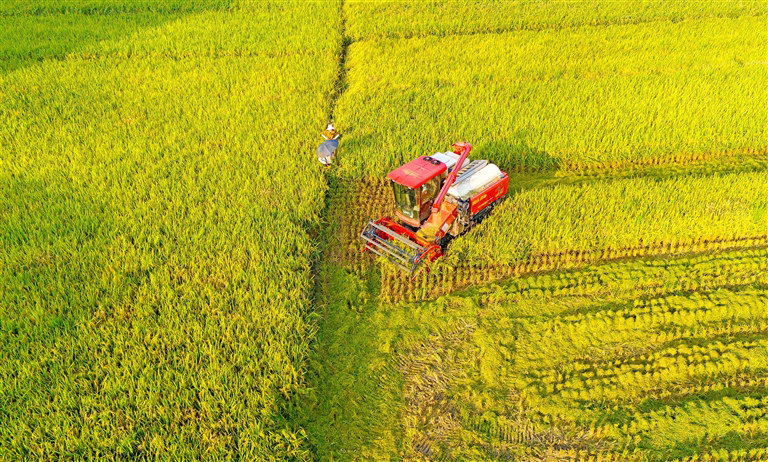 視覺︱又是一年好“豐景” 遂寧處處好“豐光”